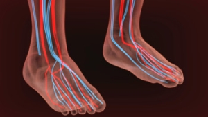 Causes and Symptoms of Poor Foot Circulation